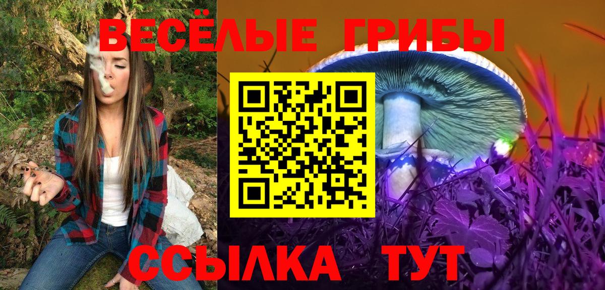 Галлюциногенные грибы Psilocybe Шатура