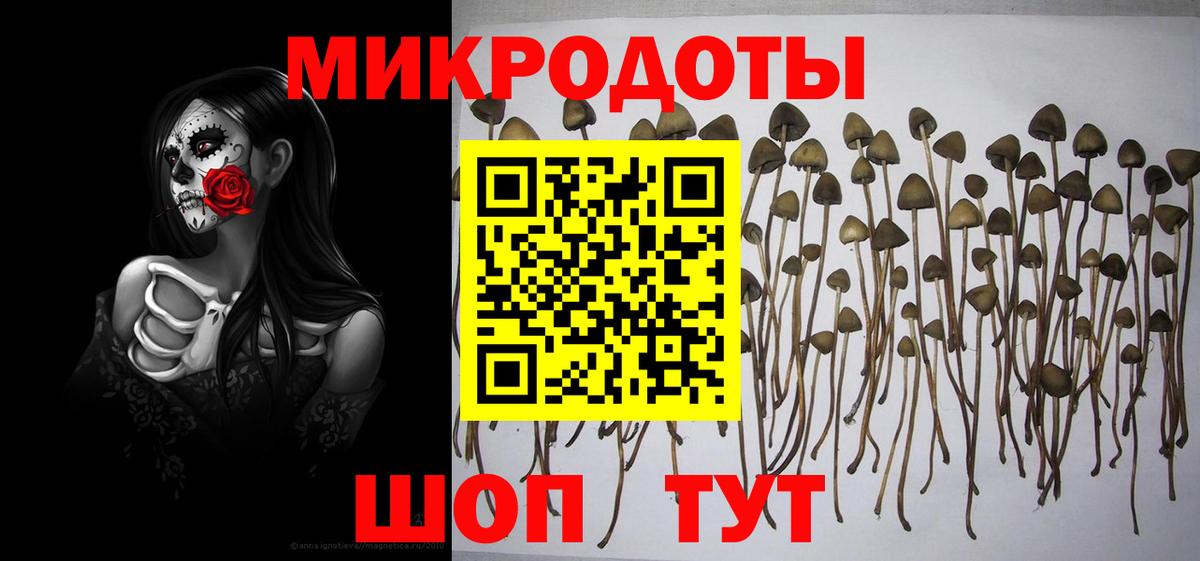 Шатура  магазин    Псилоцибиновые грибы Cubensis  Вход с VPN  Галлюциногенные грибы прущие грибы 